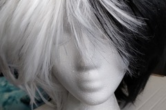 Selling with online payment: Black and White Straight Wig