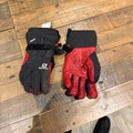Winter sports: Salomon Leather ski gloves 