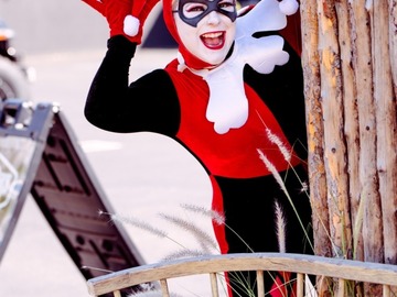 Selling with online payment: Harley Quinn Classic 