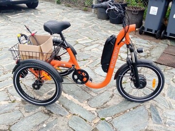 Selling: Vente tricycle electrique