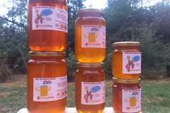 Les miels : Miel toute fleur (tournesol)