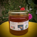 Les miels : Miel d'Ile de France