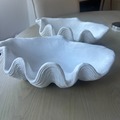 Selling: Clamshells