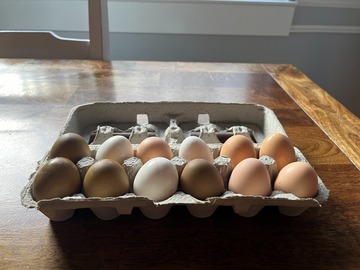 Selling with In-person Payment: GMO, Corn, Soy Free Eggs