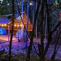 Experiential Travel (individual): Camping in Andasibe National Park