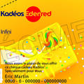Vente: Chèques cadeaux Edenred Kadeos Infini (870€)