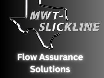 Service: Flow Assurance Solutions Since 2008