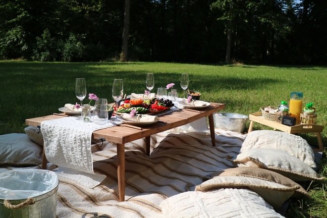 Group picnic in Dresden, Germany