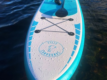 Hiring Out (per hour): Paddleboard for rent (Penrith)