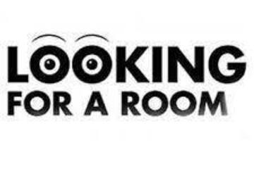 Looking for a room: Looking for a room from the 1st of May