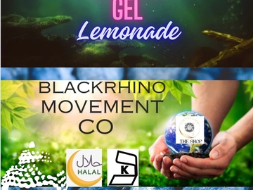 Selling with online payment: Blueberry Organic Lemonade with Sea Moss Gel Drink
