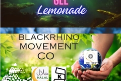 Selling with online payment: Blueberry Organic Lemonade with Sea Moss Gel Drink