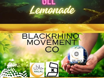 Selling with online payment: Mango Organic Lemonade with Sea Moss Gel Drink