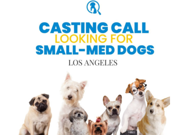 Casting call: Small to medium sized dog needed in Los Angeles