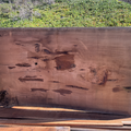Selling: 2” x 54” x 103” Reclaimed Old Growth Redwood Board