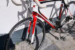 verkaufen: Eddy Mercks- EMX 1- Carbon Rennrad- Herren- Campagnolo