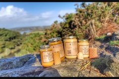 Les miels : Miel du pays de redon