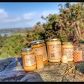 Les miels : Miel du pays de redon