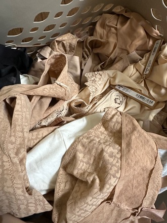 Skims Plus Size Lot