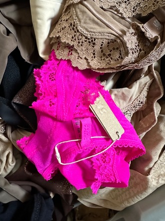 Skims Plus Size Lot