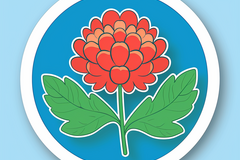 Selling: Simple Flower Sticker Logo