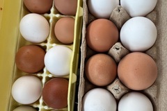 Selling with In-person Payment: Fresh eggs