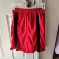Selling with online payment: Haikyuu!! Nekoma Jersey shorts