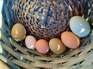 Selling with online payment: Farm Fresh Colorful Easter Eggs