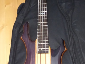 Vermieten und mieten/ Barzahlung: ESP LTD 5 String Bass