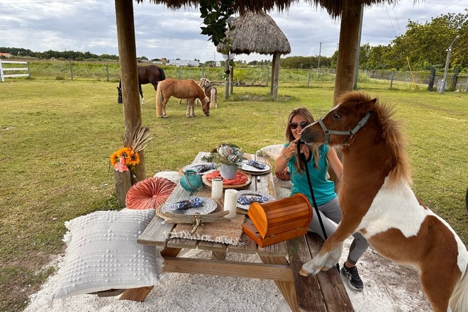A Picnic Extravaganza with Horses in Homestead, FL