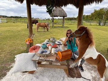 Offering with online payment: A Picnic Extravaganza with Horses