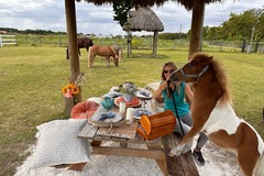 Offering with online payment: A Picnic Extravaganza with Horses