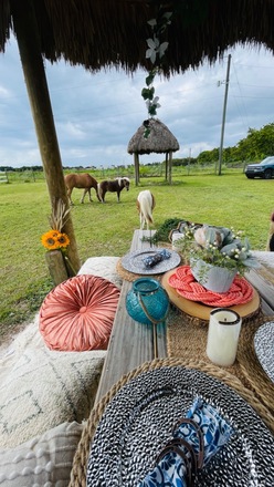 A Picnic Extravaganza with Horses in Homestead, FL