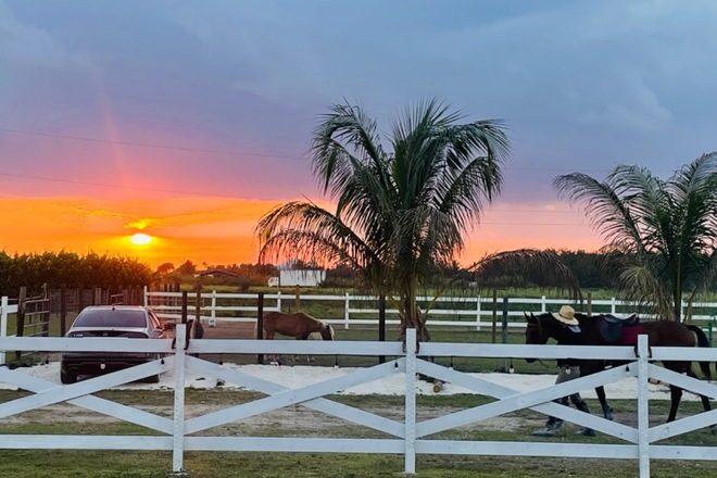 A Picnic Extravaganza with Horses in Homestead, FL
