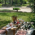 Offering without online payment (No Fees): Memorable picnics in Budapest