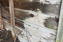 Selling: Reclaimed Rough Cut 2” x 12” Old Growth Redwood Planks