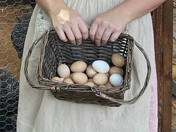 Selling with In-person Payment: Farm Fresh Chicken Eggs (Moscow, TN)