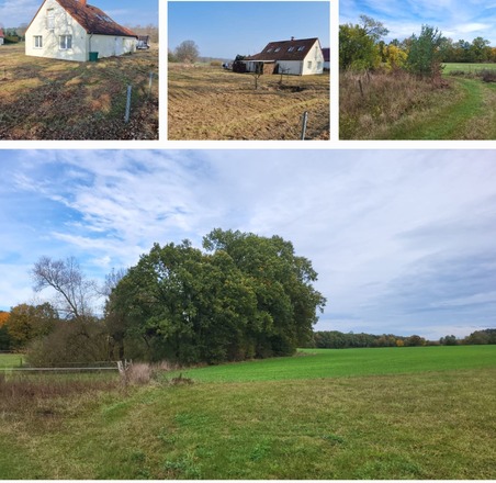 Einfamilienhaus in der Mecklenburgischen Seenplatte 