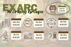 Date: Discord Launch of EXARC Reenactment Working-Group