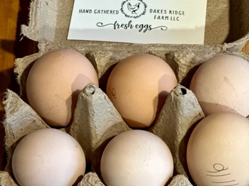 Selling with online payment: Free Range Hand Gathered Eggs