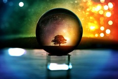 Selling: Crystal Ball Reading 