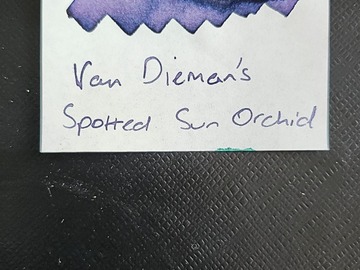 Selling: Van Dieman's Spotted Sun Orchid 5ml Sample