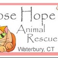 Looking for volunteers: Special Needs Animals need your help, Word Press help