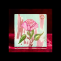 Productos: Obra de arte Rosa Drama