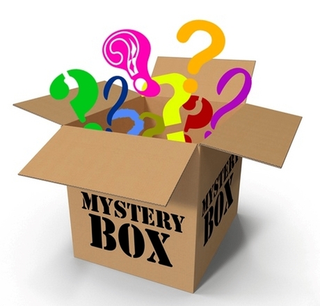 (25) Wholesale Surprise Mystery Box 