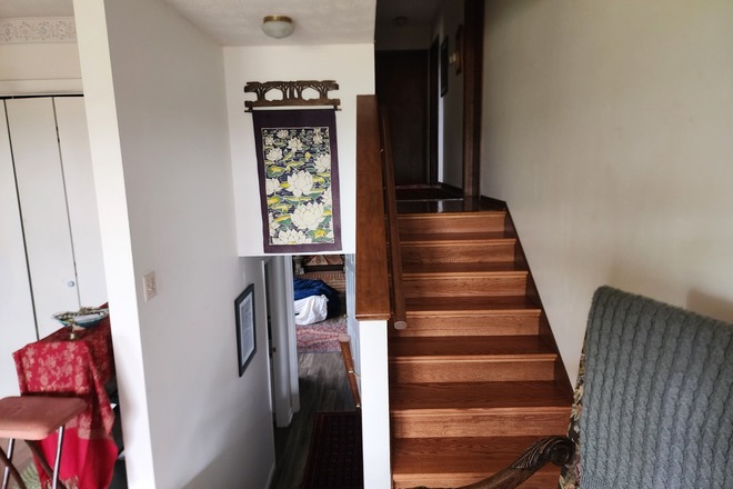 Cozy Guest Room near JMU and EMU