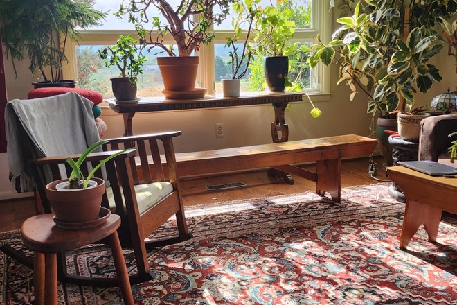 Cozy Guest Room near JMU and EMU