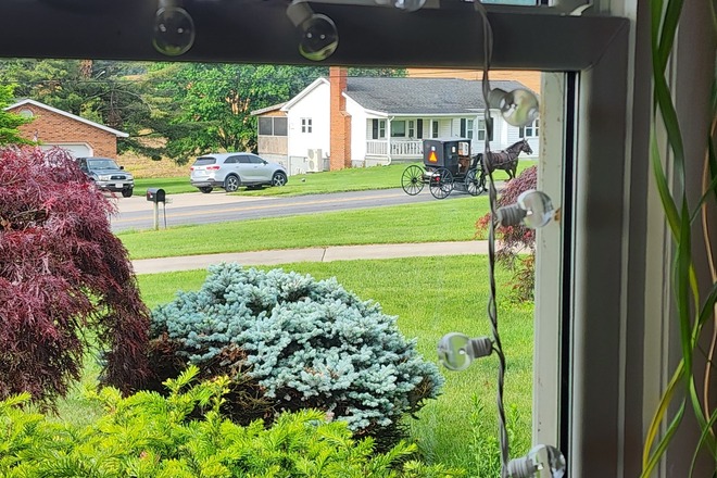 Cozy Guest Room near JMU and EMU