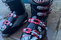 Winter sports: Tecnica ski boots (dragon 100)