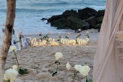 Offering without online payment (No Fees): Proposal & Picnic by The Boho Barn in New York